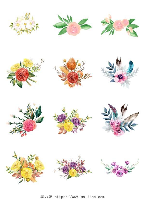 12个水彩花卉素材